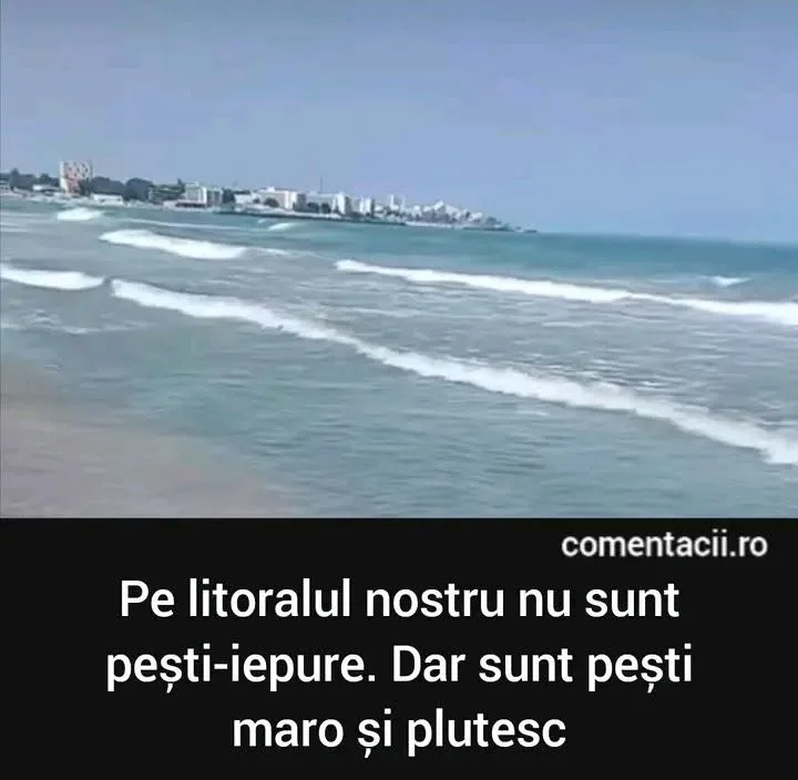 Pe litoralul nostru nu sunt pesti-iepure. Dar sunt pesti maro si plutesc