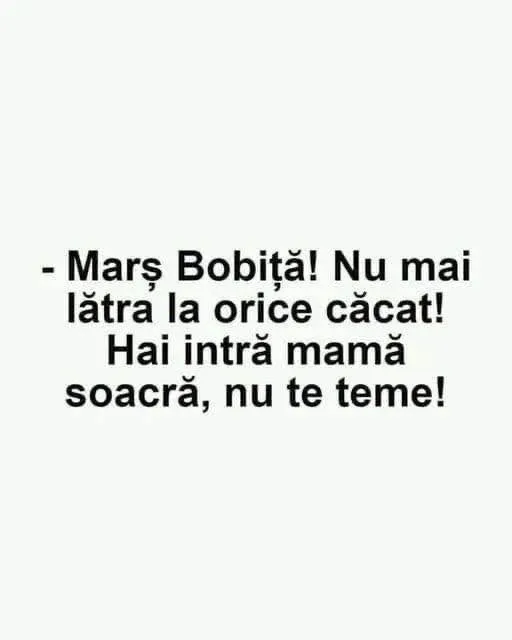 Mars Bobita! Nu mai latra la orice cacat! Hai intra mama soacra, nu te teme!