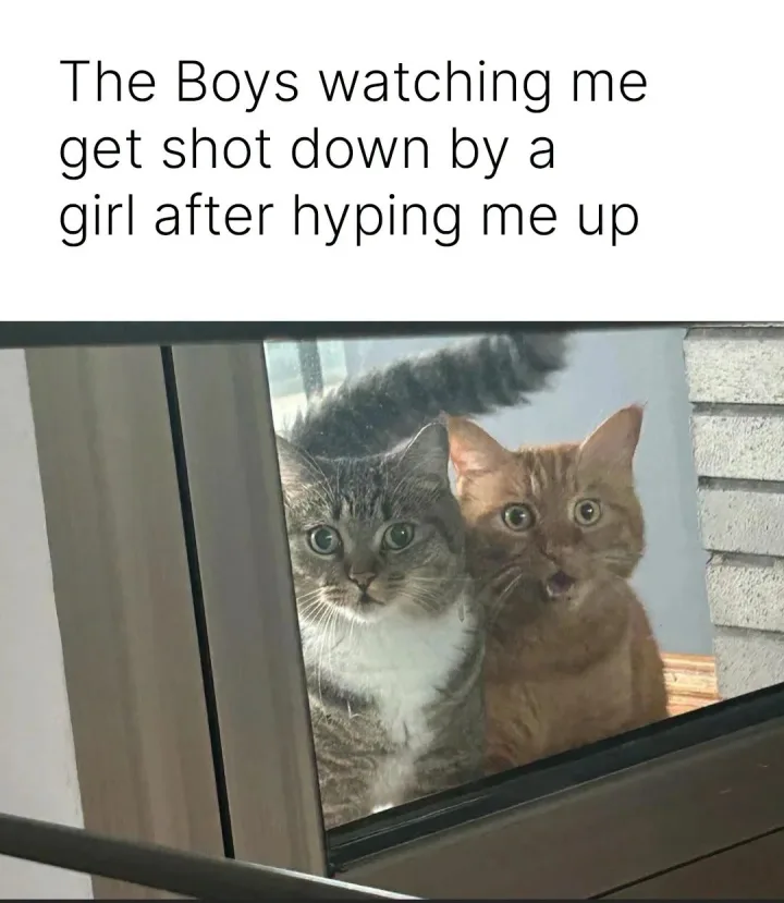 cu pisica si text The Boys wat watching me get shot down by a girl after hyping me up