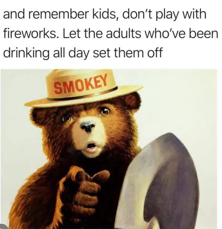 cu artificii si text and remember kids, don t play with fireworks. Let the adults who ve be...