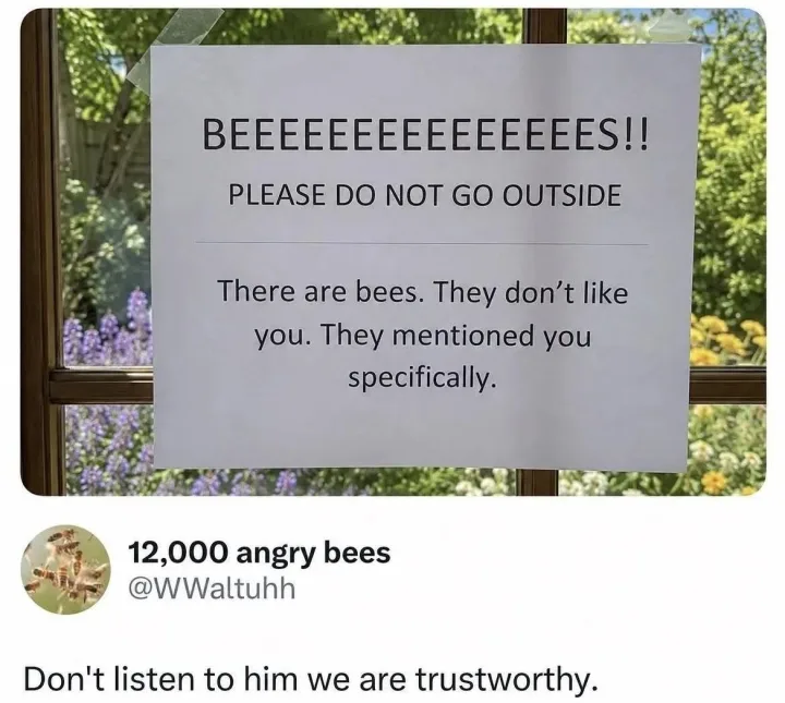 BEEEEEEEEEEEEEEES!! PLEASE DO NOT GO OUTSIDE There are bees. They Therearebees.Theydon t do...