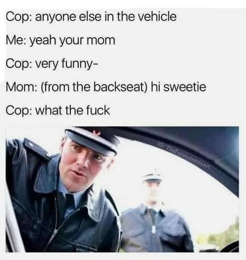 Cop: anyone else in the vehicle Me: yeah your mom Cop: very funny- Mom: (from the backseat)...