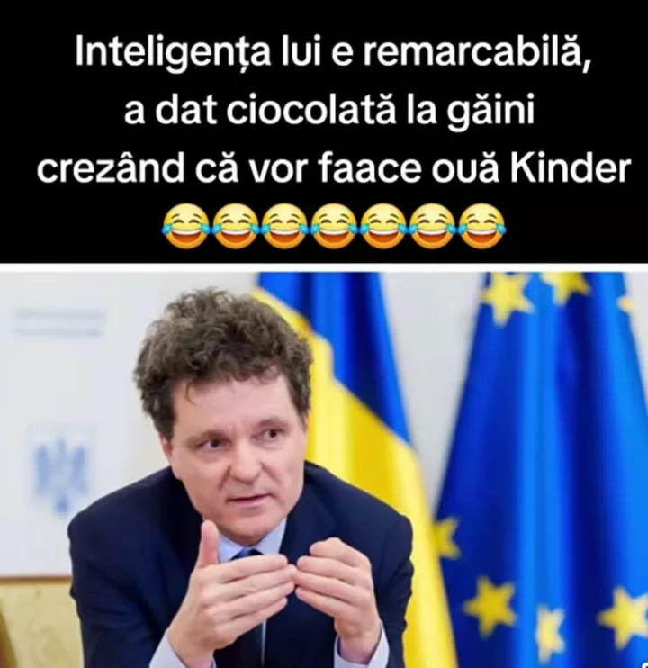 Inteligenta lui e remarcabila, a dat ciocolata la gaini crezand ca vor faace oua Kinder