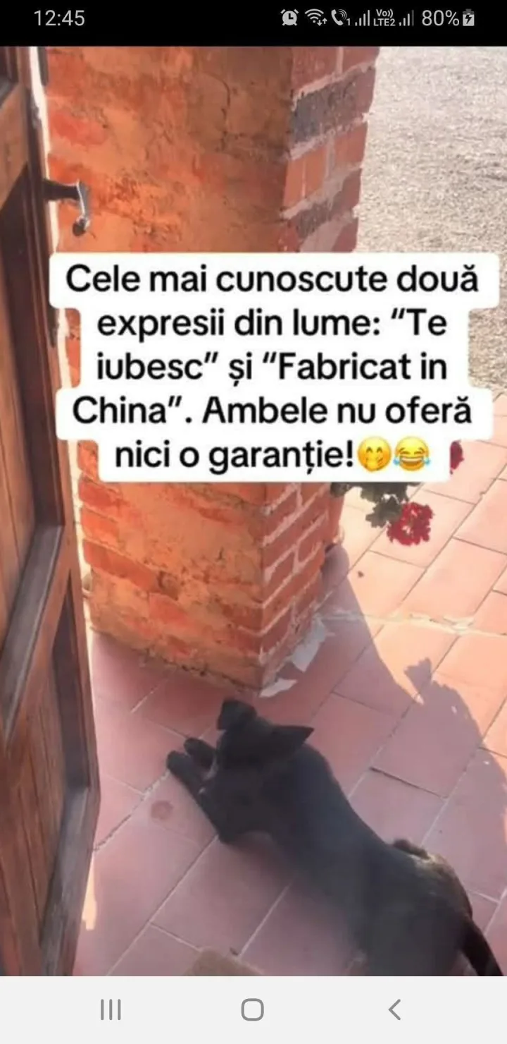 12:45 Vo) 80% Cele mai cunoscute doua expresii din lume: Te iubesc si Fabricat in China . A...