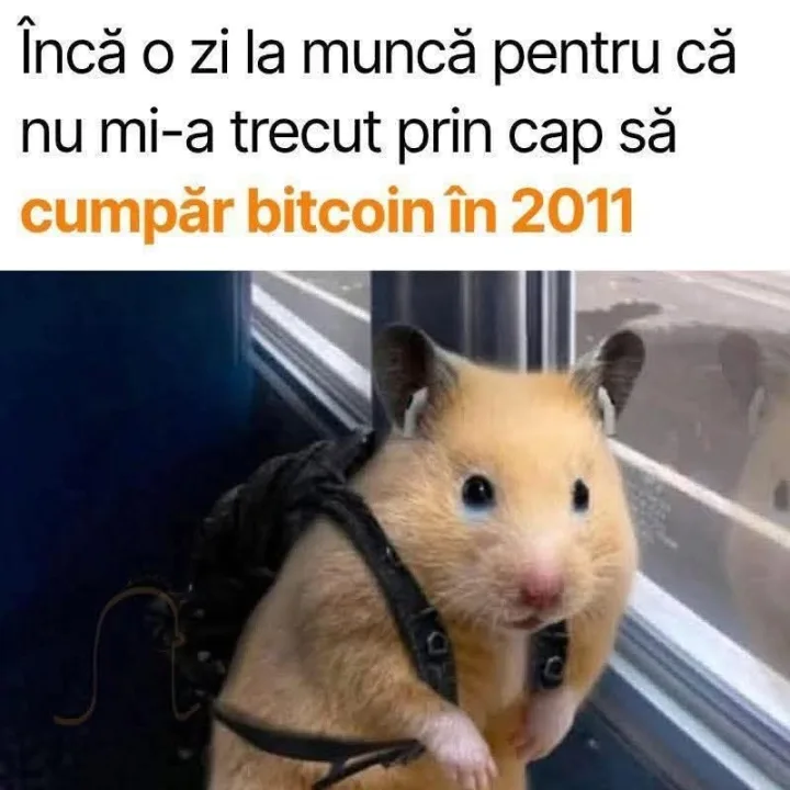 Inca o zi la munca pentru ca nu mi-a trecut prin cap sa cumpar bitcoin in 2011