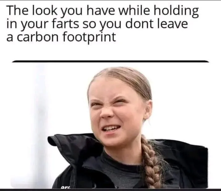 The look you have while holding in your farts so you dont leave a carbon footprint arL