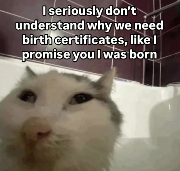 cu pisica si text I seriously don t understand why we need birth certificates, like I promi...