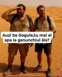 si text Auzi ba Gogule,tu tu mai ai apa la genunchiul ala?